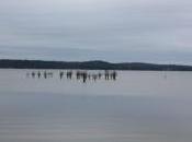 POEM: Layer Rushing Clouds [Prose Poem]