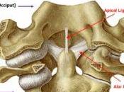 Patient with Alar Ligament Injury Travels From Italy Help