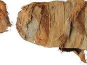 Scientists ‘digitally Unwrap’ Ancient Egyptian Animal Mummies