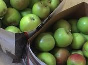 Littering Public Places Nurse Fined Fly-tipping