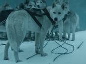 Tiny Nation Togo Surrender This Years