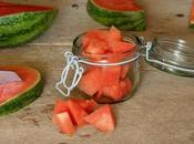 Cooking Light Electric Smoker