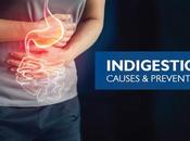 Home Remedies Indigestion