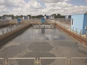 Sewage Sludge Treatment Process (and Related Questions)
