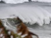Typhoon Haishen: Thousands Evacuated Powerful Storm Barrels Toward Japan Korean Peninsula