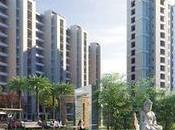 Which Best Place Property Near Chandigarh?