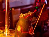 Friday Fotos: Frog Toad