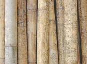 Sustainable Green Building Construction Materials