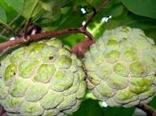 Ayurvedic Tonics Weight Gain