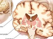 Alternative Treatment Progressive Supranuclear Palsy