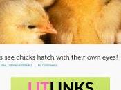 LITLINKS: Kids Chicks Hatch with Their Eyes, Guest Post Patricia Newman's Blog