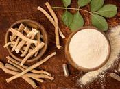 Healthy Travel: Five Must-Have Supplements Your Next Trip After Quarantine