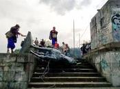 Another Statue Pulled Down Heard ‘encomienda’; ‘Conquistadors’.