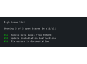 GitHub Brings Directly Your Terminal