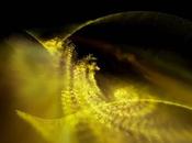 Best Free Players Windows/Mac/iOS/Android