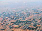 Center Pivot Irrigation Explained