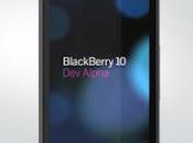 BlackBerry Comes L-Series N-Series, Screen