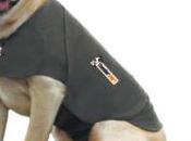 Ease Your Pet's Fear Fireworks With Thundershirt