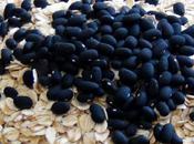 Diet Challenge: More Fiber Less Starch