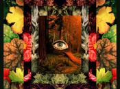 White Arrows’ Land Myth [7.3]