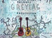 Park with Greylag [buzzsession]