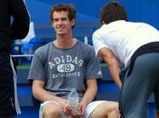 Andy Murray Semi-final Wimbledon Tournament?