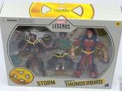 Marvel Legends Storm Thunderbird Two-pack Figure Review