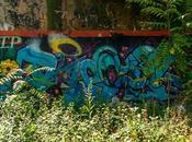 Weeds Graffiti Urban Paradise]