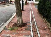 Finding Freedom Trail
