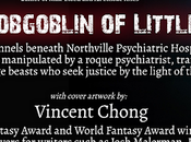 Announcing Novel Coming Early 2021: 'THE HOBGOBLIN LITTLE MINDS'