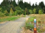 HIKING THURSTON HILLS NATURAL AREA NEAR EUGENE, OREGON Guest Post Caroline Hatton Intrepid Tourist