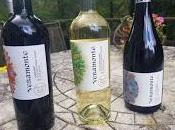 Organic Wines from Chile's Veramonte Vineyards