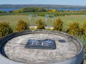 Take Socially Distant Road Trip During Pandemic