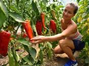 Different Types Garden Your Beautiful Home