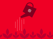 Businesses Killing Growing With Their Instagram Success