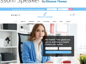 Free Premium Influencer WordPress Themes