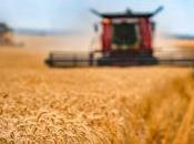 Greener, Fairer, More Robust Farm Policy News European Parliament