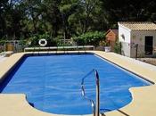 Pool Care 101: Maintain Swimming Your Backyard