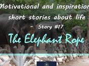 Short Inspirational Story About Life Elephant Rope (Story