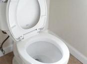 Solutions Fixes Clogged Blocked Toilet