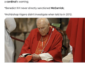 "Pope John Paul Warned About Allegations Sexual Impropriety Theodore McCarrick, Chose Promote Him": Response