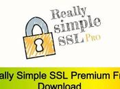 Really Simple Premium Free Download