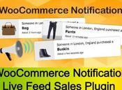 WooCommerce Notification Live Feed Sales Plugin Free Download
