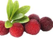 Bayberry Medicinal Benefits