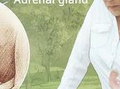 Addison’s Disease Managed with Ayurvedic Remedies Without Hormone Replacement Therapy?