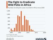 Africa Defeat COVID Like They Fought Wild Polio?