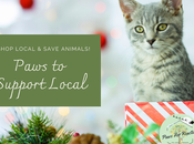 Helping Holiday Paws: Support Local Businesses Animals Need During COVID-19 Pandemic
