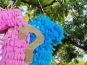 Creativity #123 Gender Reveal Piñata