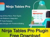 Ninja Tables Plugin Free Download