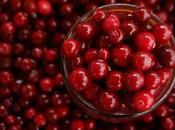 Pros Cons Thanksgiving Cranberry Sauce